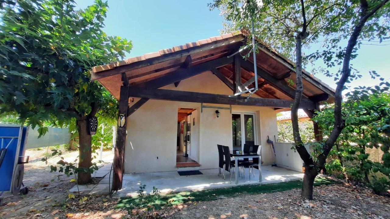 Promo 2-9Juin Gite 6 Personnes Toulouse 7Mn Du Metro 4 Lits Terrasses Gragnague Экстерьер фото