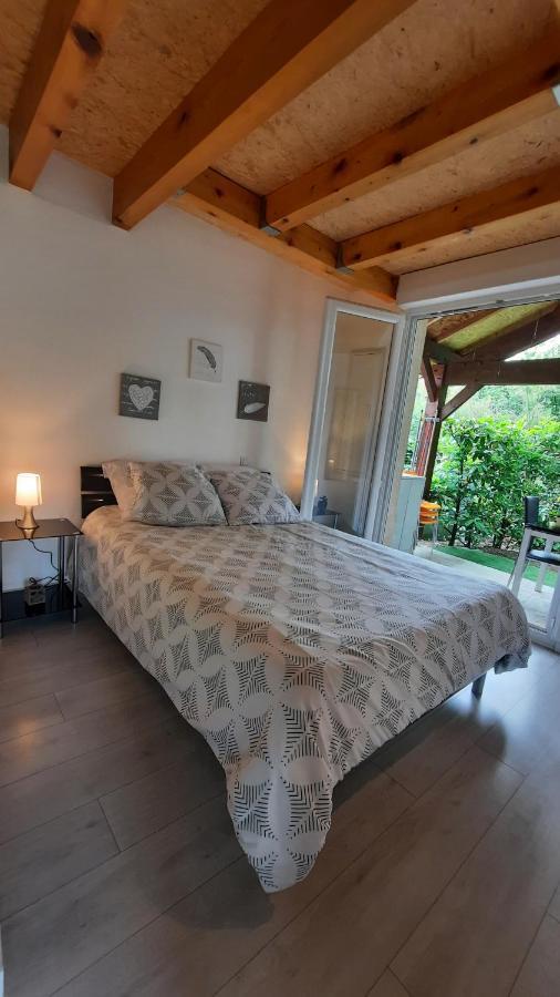 Promo 2-9Juin Gite 6 Personnes Toulouse 7Mn Du Metro 4 Lits Terrasses Gragnague Экстерьер фото